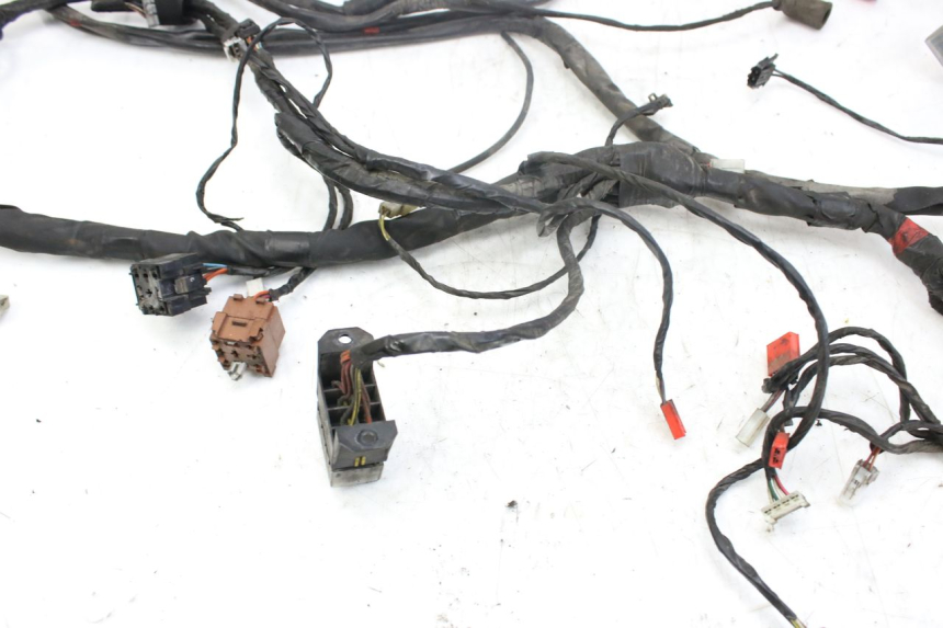 photo de WIRING HARNESS PIAGGIO X9 EVOLUTION 250 (2003 - 2007)