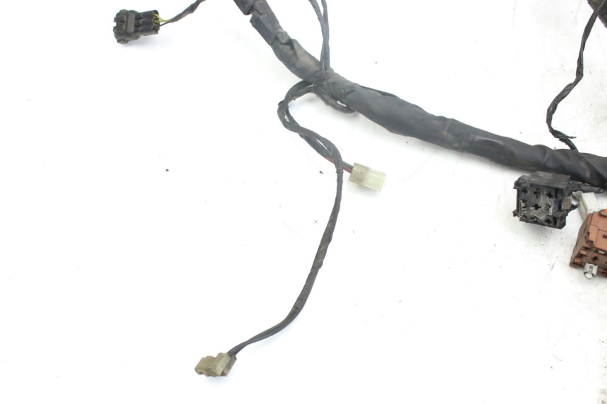 photo de WIRING HARNESS PIAGGIO X9 EVOLUTION 250 (2003 - 2007)