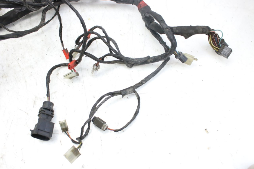 photo de WIRING HARNESS PIAGGIO X9 EVOLUTION 250 (2003 - 2007)