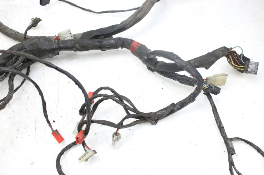 photo de WIRING HARNESS PIAGGIO X9 EVOLUTION 250 (2003 - 2007)