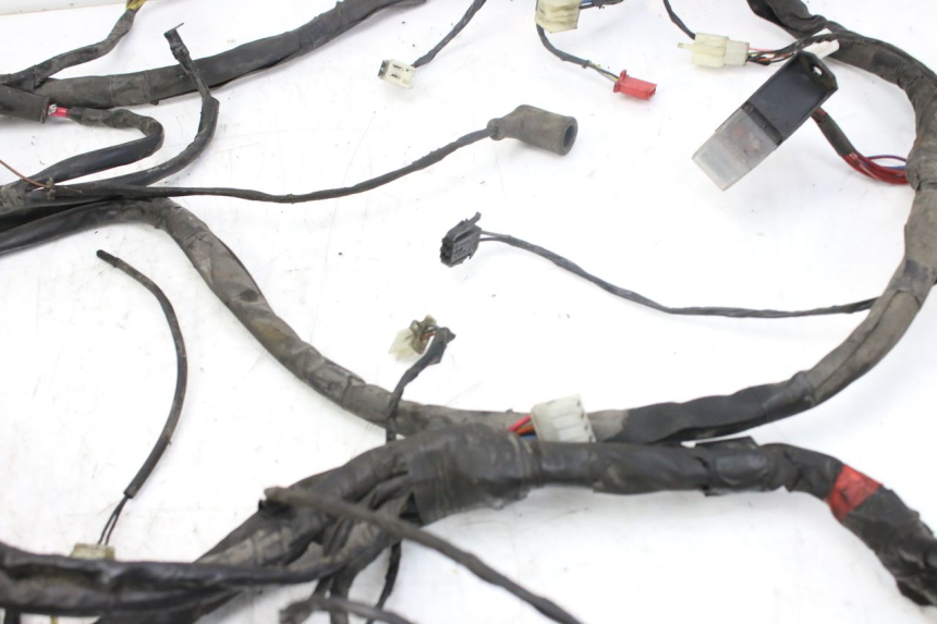 photo de WIRING HARNESS PIAGGIO X9 EVOLUTION 250 (2003 - 2007)