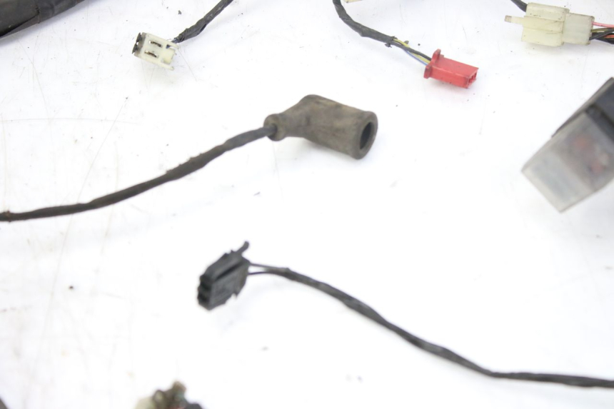 photo de WIRING HARNESS PIAGGIO X9 EVOLUTION 250 (2003 - 2007)