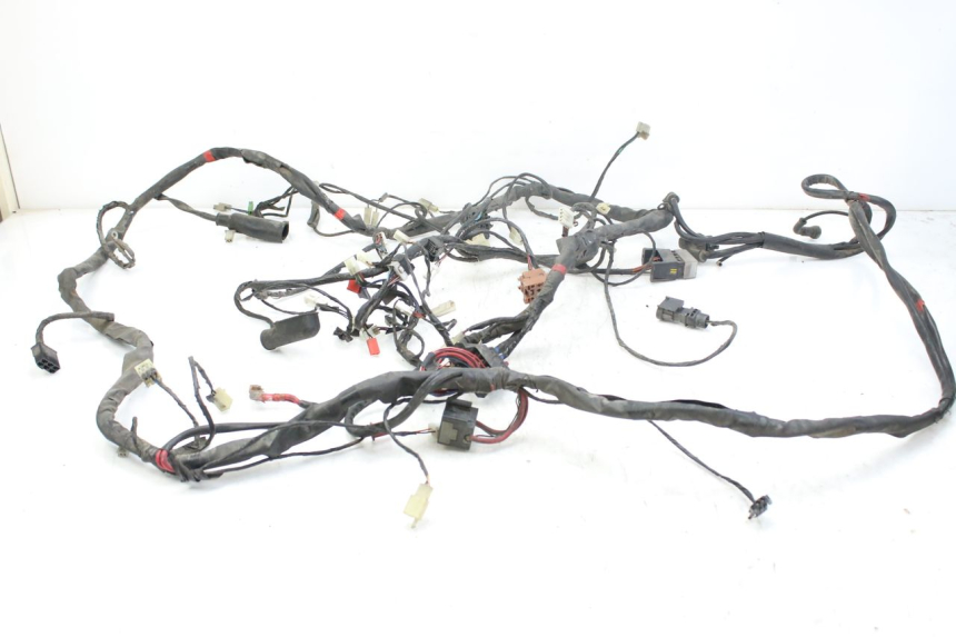 photo de WIRING HARNESS PIAGGIO X9 EVOLUTION 125 (2003 - 2007)