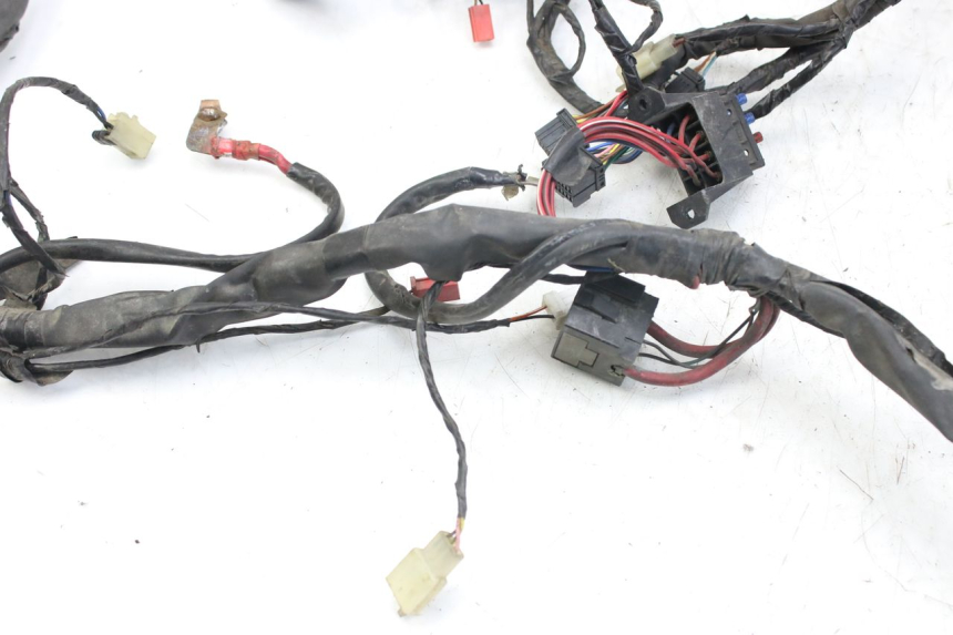 photo de WIRING HARNESS PIAGGIO X9 EVOLUTION 125 (2003 - 2007)