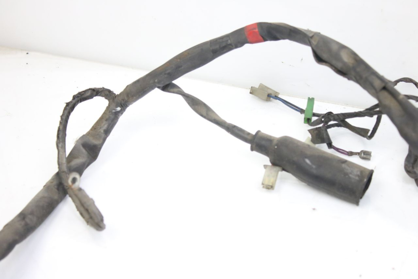 photo de WIRING HARNESS PIAGGIO X9 EVOLUTION 125 (2003 - 2007)