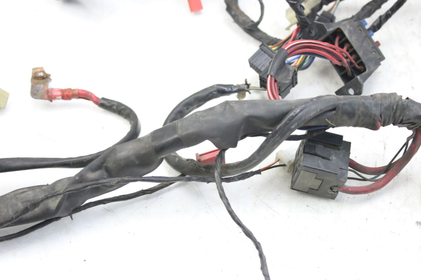 photo de WIRING HARNESS PIAGGIO X9 EVOLUTION 125 (2003 - 2007)