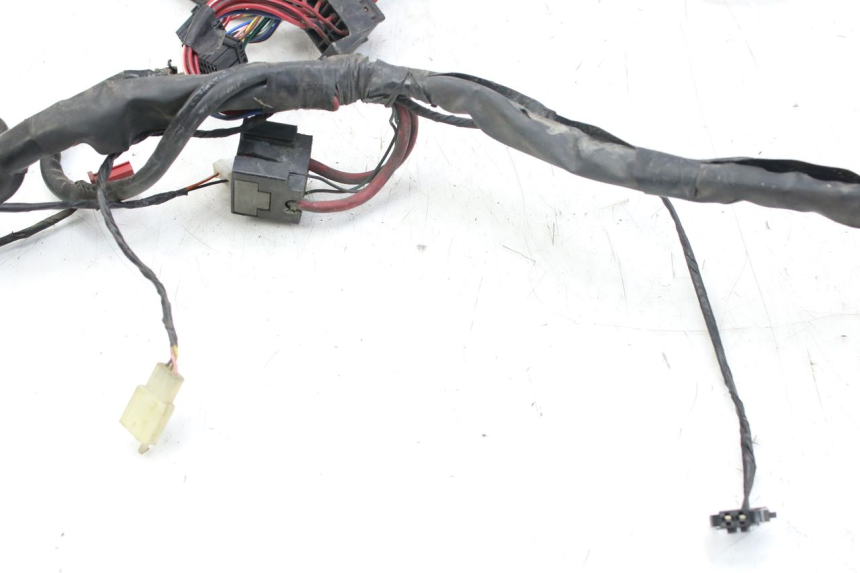 photo de WIRING HARNESS PIAGGIO X9 EVOLUTION 125 (2003 - 2007)