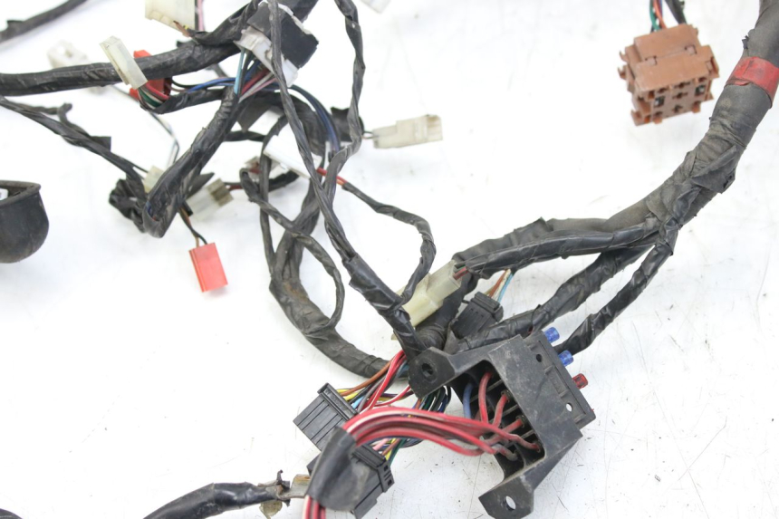 photo de WIRING HARNESS PIAGGIO X9 EVOLUTION 125 (2003 - 2007)