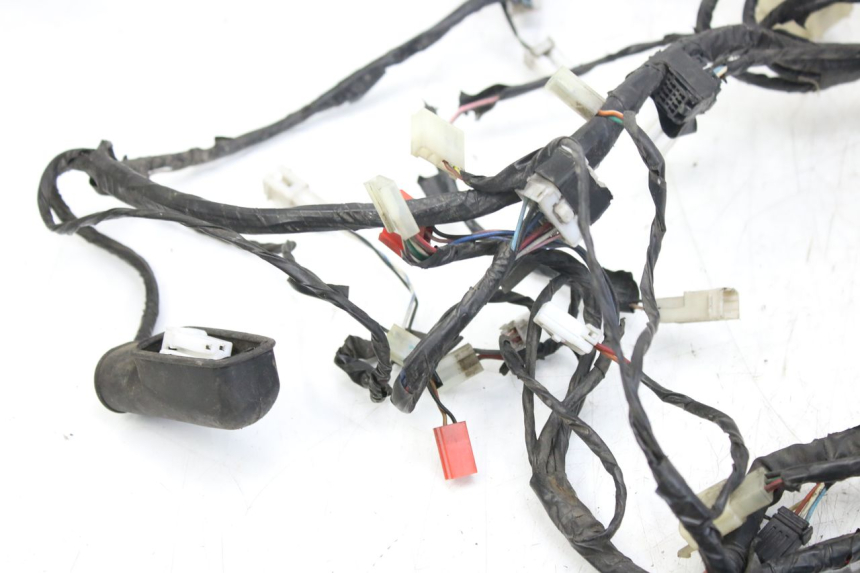 photo de WIRING HARNESS PIAGGIO X9 EVOLUTION 125 (2003 - 2007)