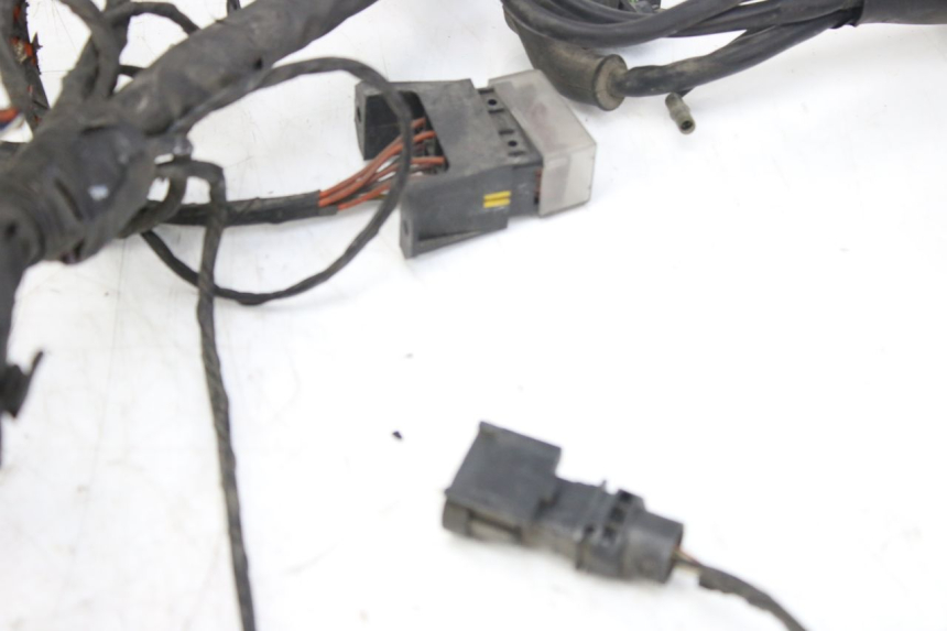 photo de WIRING HARNESS PIAGGIO X9 EVOLUTION 125 (2003 - 2007)