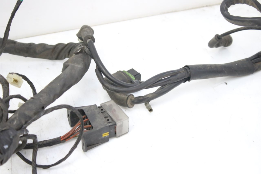 photo de WIRING HARNESS PIAGGIO X9 EVOLUTION 125 (2003 - 2007)