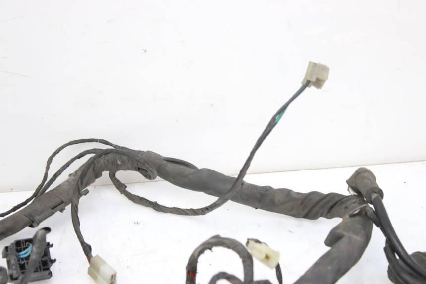 photo de WIRING HARNESS PIAGGIO X9 EVOLUTION 125 (2003 - 2007)