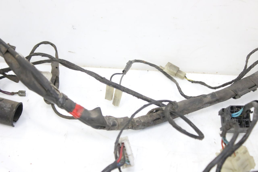 photo de WIRING HARNESS PIAGGIO X9 EVOLUTION 125 (2003 - 2007)