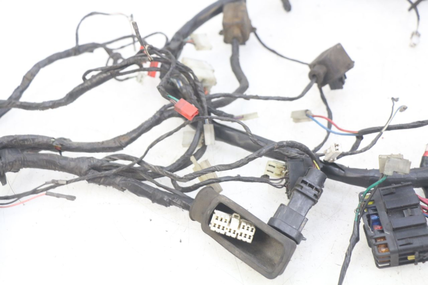 photo de WIRING HARNESS PIAGGIO XEVO - X EVO 125 (2007 - 2016)