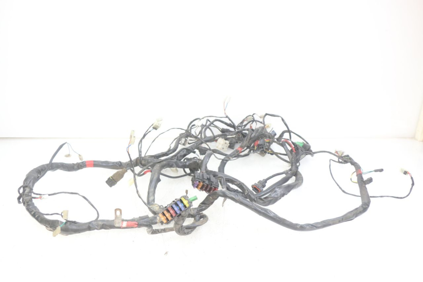 photo de WIRING HARNESS PIAGGIO XEVO - X EVO 125 (2007 - 2016)