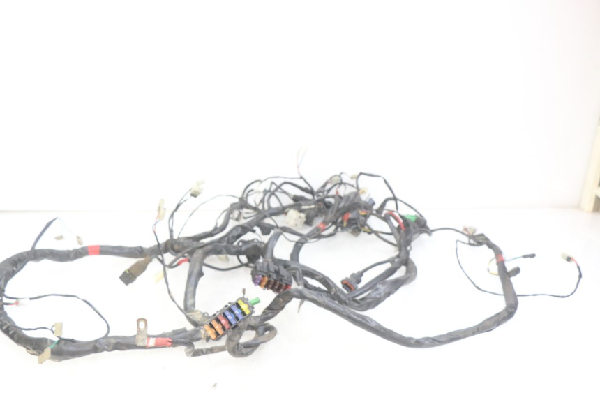 photo de WIRING HARNESS PIAGGIO XEVO - X EVO 125 (2007 - 2016)