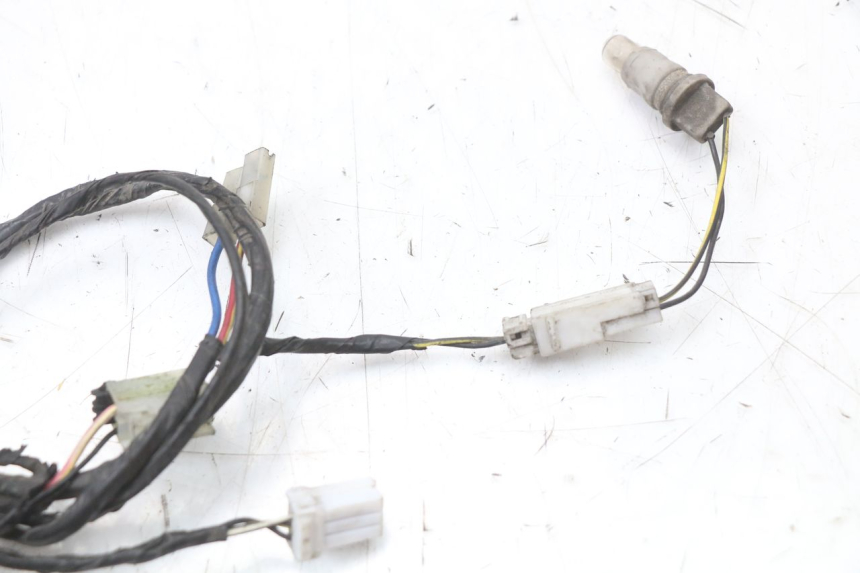 photo de WIRING HARNESS PIAGGIO XEVO - X EVO 125 (2007 - 2016)