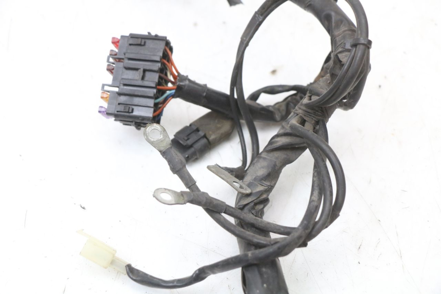 photo de WIRING HARNESS PIAGGIO XEVO - X EVO 125 (2007 - 2016)