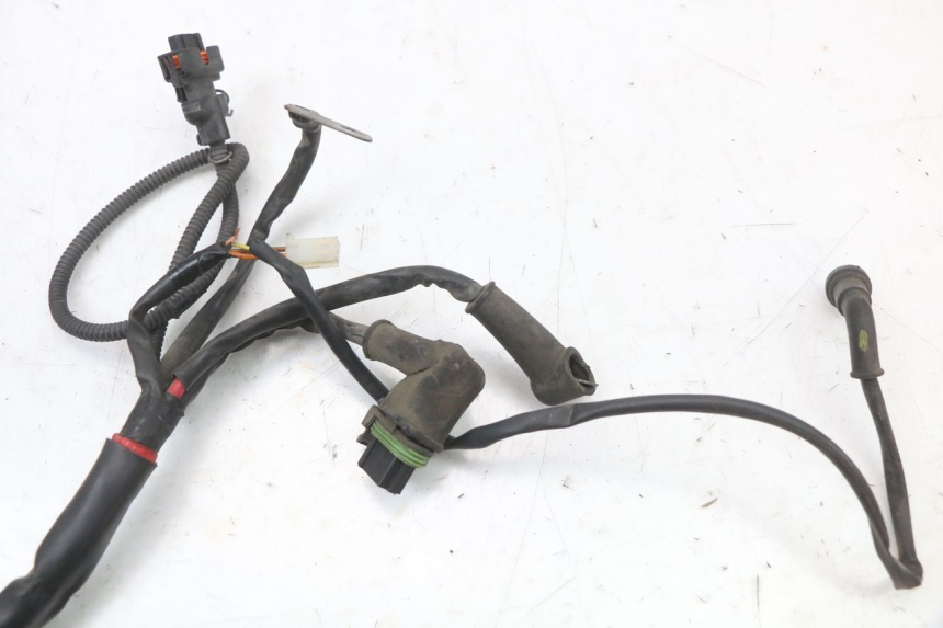 photo de WIRING HARNESS PIAGGIO XEVO - X EVO 125 (2007 - 2016)