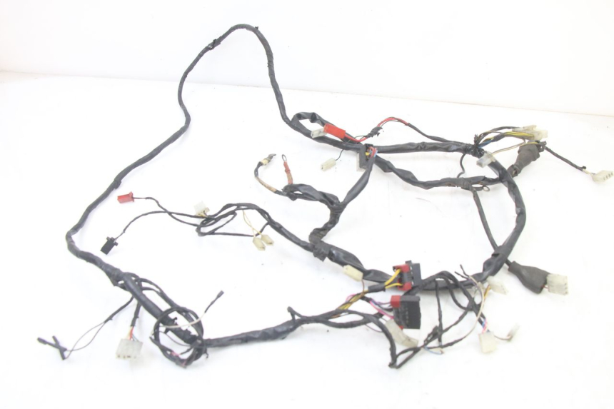 photo de WIRING HARNESS PIAGGIO ZIP 2T 50 (2009 - 2019)