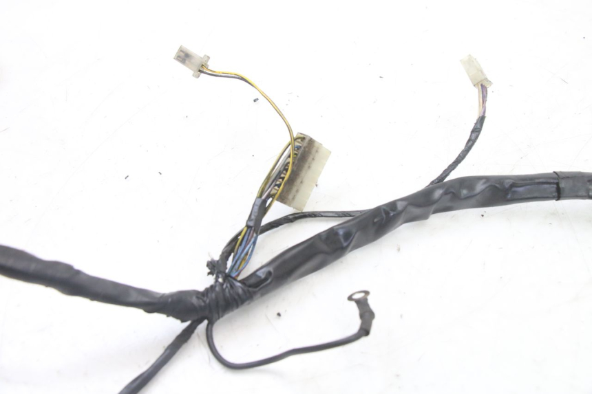 photo de WIRING HARNESS PIAGGIO ZIP 2T 50 (2009 - 2019)