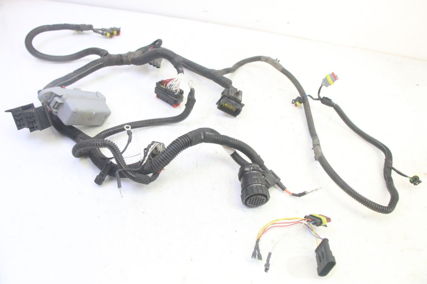photo de WIRE HARNESS LIGIER PULSE 3 1 (2014 - 2020) - Distinctive features
