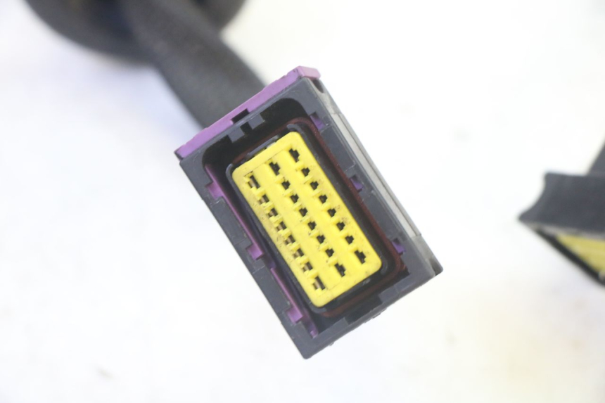 photo de WIRE HARNESS LIGIER PULSE 3 1 (2014 - 2020) - Alternative perspective