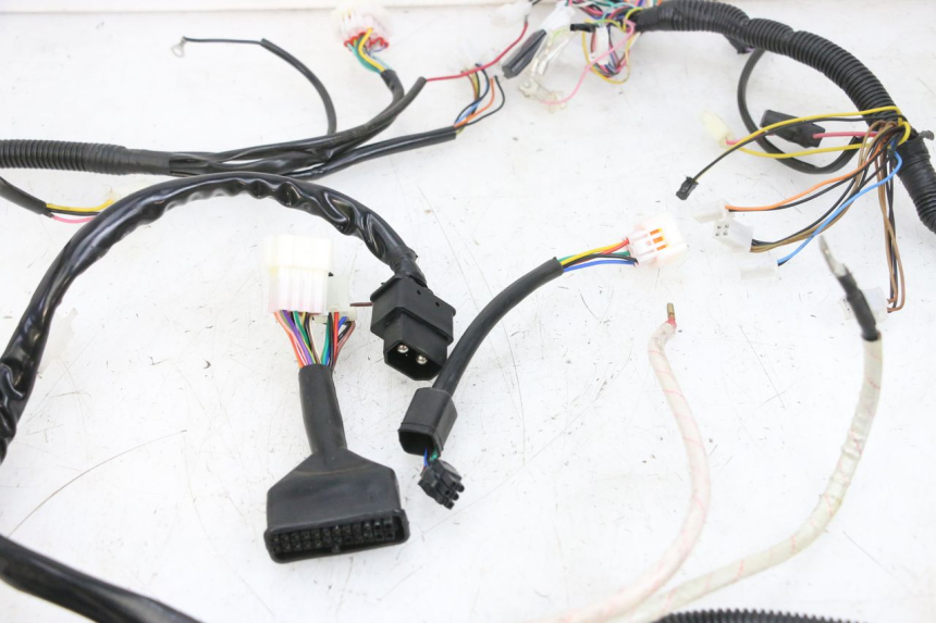 photo de WIRE HARNESS EFUN PUSA 1 - Technical close-up