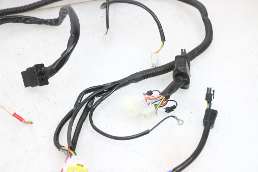 photo de WIRE HARNESS EFUN PUSA 1 - Checked used part