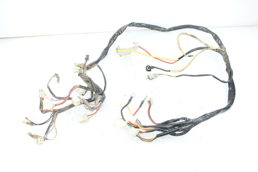 photo de WIRE HARNESS DOLPHIN PYGMY 1 (2020 - 2024)