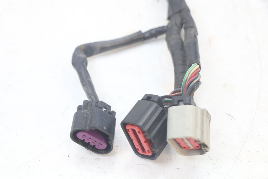 photo de WIRING HARNESS QUADRO 3D S 350 (2013 - 2018)