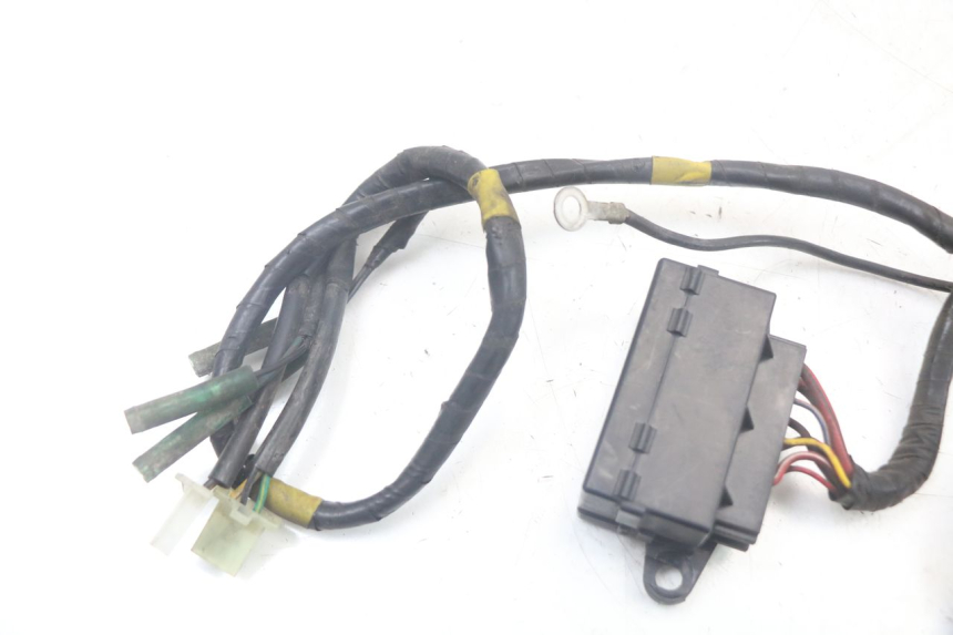 photo de WIRING HARNESS QUADRO 3D S 350 (2013 - 2018)