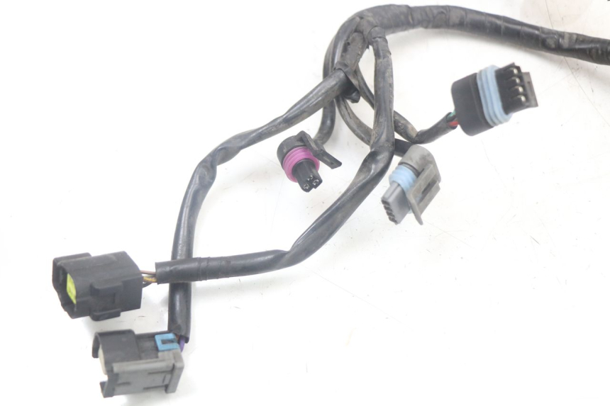 photo de WIRING HARNESS QUADRO 3D S 350 (2013 - 2018)