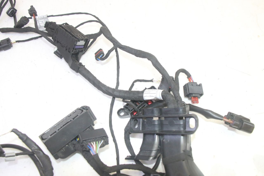 photo de WIRE HARNESS BMW R GS 1250 (2021 - 2024) - Zoom on usage condition