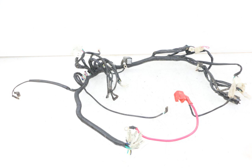 photo de WIRE HARNESS REGAL RAPTOR RAXTER 2 125 (2007 - 2015)