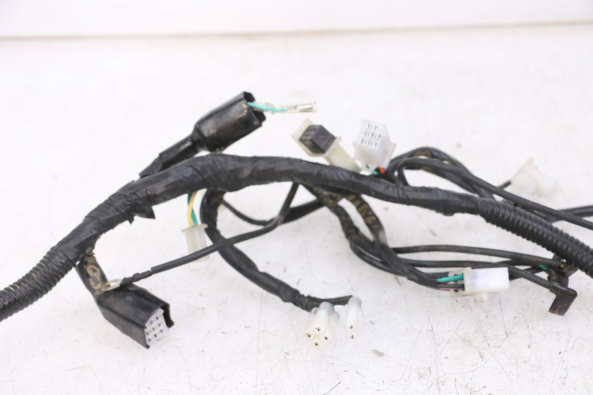 photo de WIRE HARNESS REGAL RAPTOR RAXTER 2 125 (2007 - 2015)