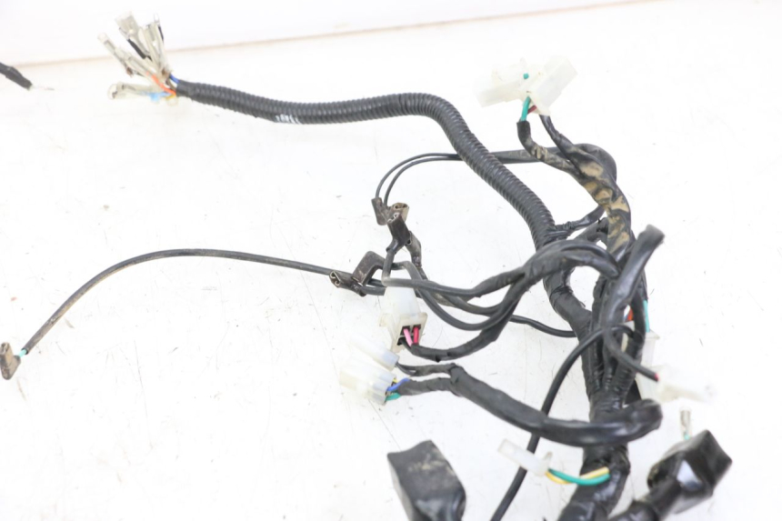 photo de WIRE HARNESS REGAL RAPTOR RAXTER 2 125 (2007 - 2015)