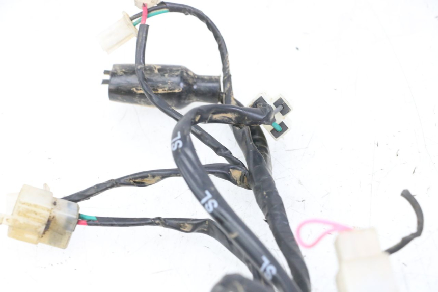 photo de WIRE HARNESS REGAL RAPTOR RAXTER 2 125 (2007 - 2015)