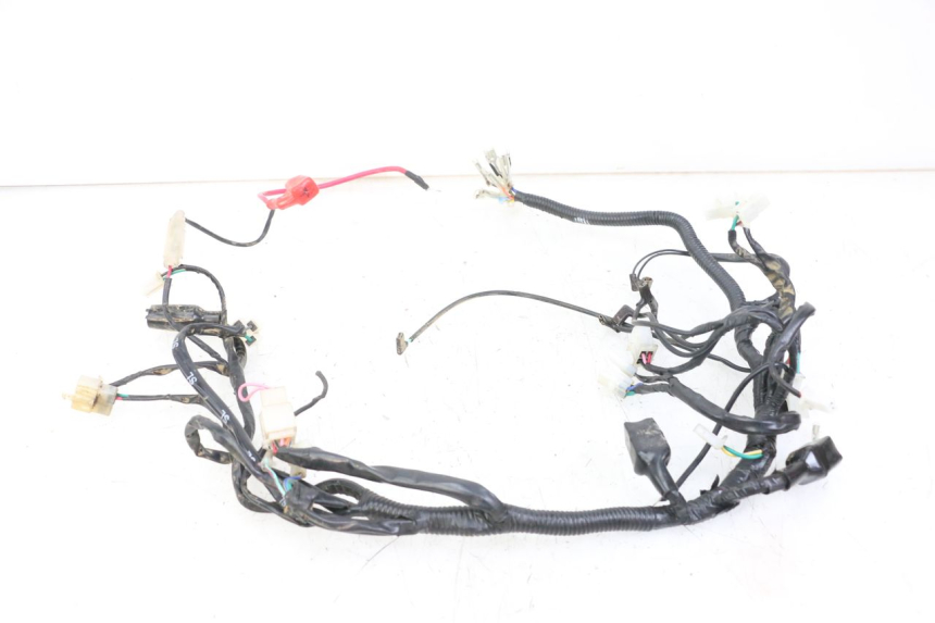 photo de WIRE HARNESS REGAL RAPTOR RAXTER 2 125 (2007 - 2015)