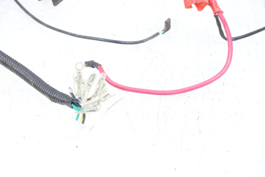 photo de WIRE HARNESS REGAL RAPTOR RAXTER 2 125 (2007 - 2015)