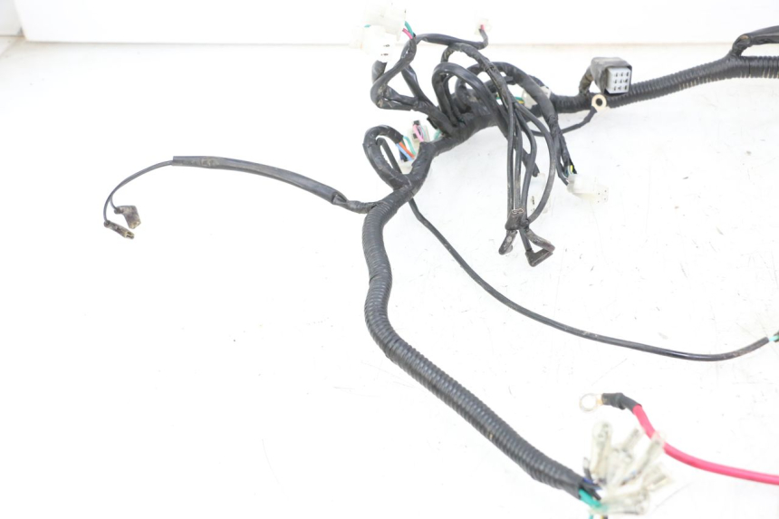 photo de WIRE HARNESS REGAL RAPTOR RAXTER 2 125 (2007 - 2015)