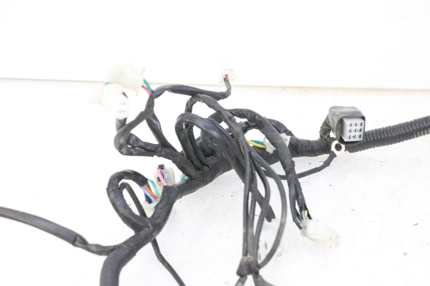 photo de WIRE HARNESS REGAL RAPTOR RAXTER 2 125 (2007 - 2015)