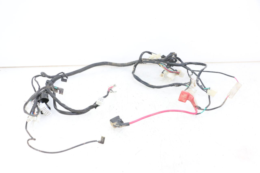 photo de WIRE HARNESS REGAL RAPTOR SPYDER 125 (2010 - 2018)