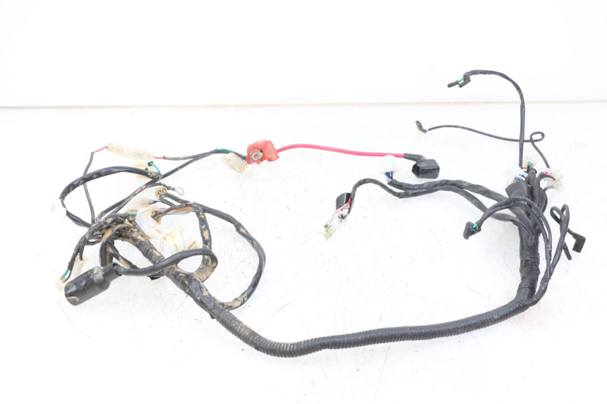 photo de WIRE HARNESS REGAL RAPTOR SPYDER 125 (2010 - 2018)