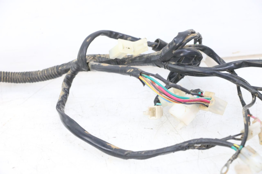 photo de WIRE HARNESS REGAL RAPTOR SPYDER 125 (2010 - 2018)