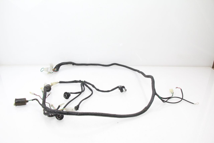 photo de WIRE HARNESS REVATTO URBA GT 125 (2007 - 2017)