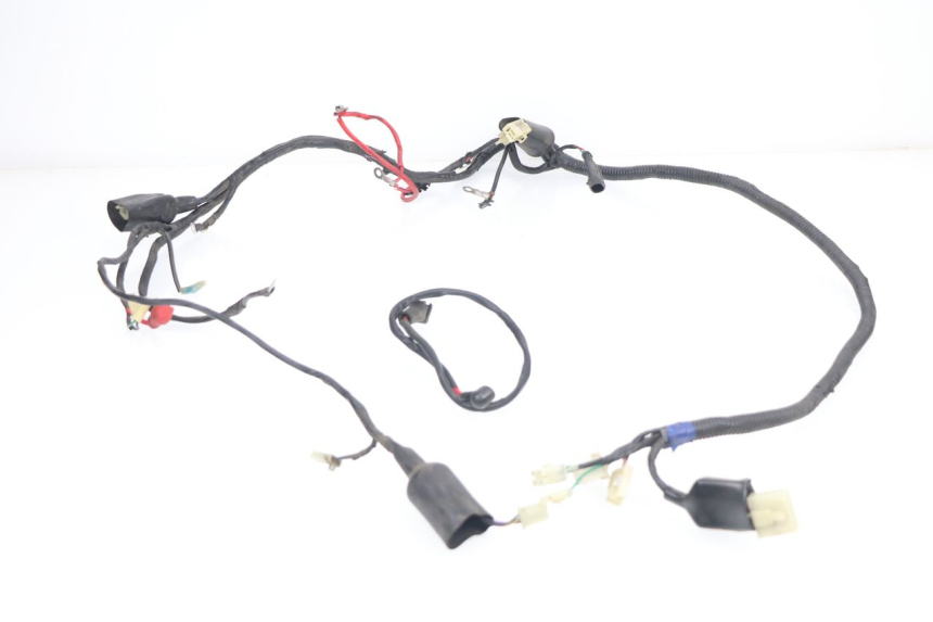 photo de WIRE HARNESS RIDE CLASSIC 125 (2014 - 2020)