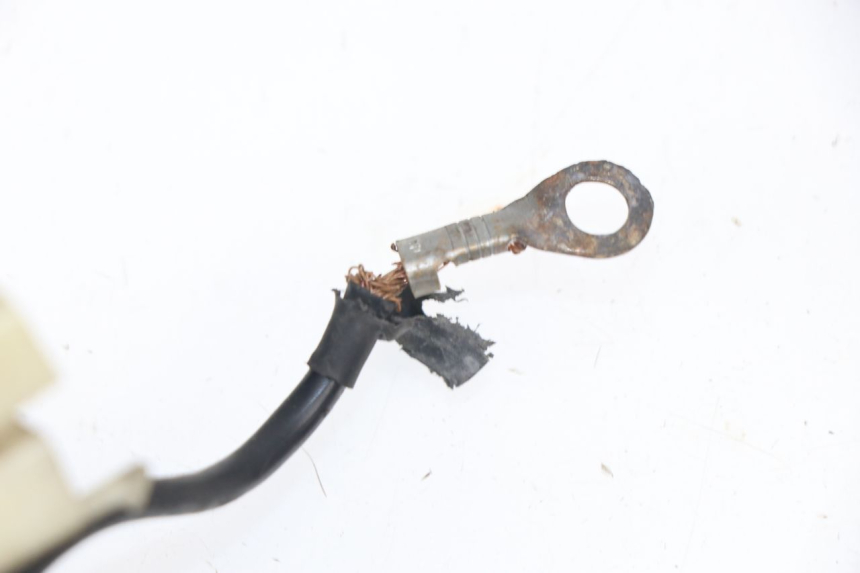 photo de WIRE HARNESS RIDE CLASSIC 125 (2014 - 2020)