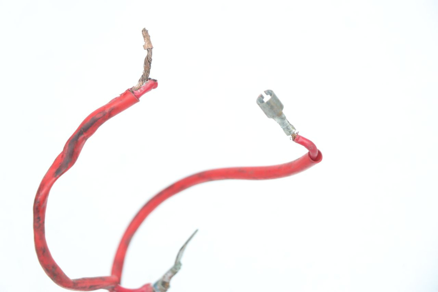 photo de WIRE HARNESS RIDE CLASSIC 125 (2014 - 2020)