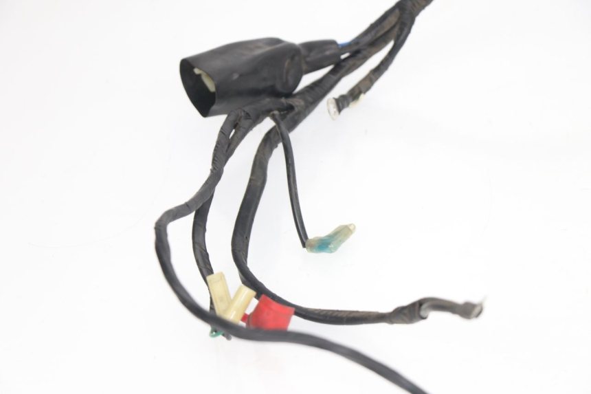 photo de WIRE HARNESS RIDE CLASSIC 125 (2014 - 2020)